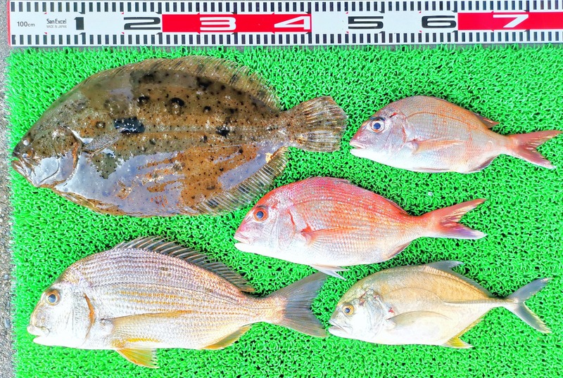 IMG_20251013_142508_edit_1787240669329364