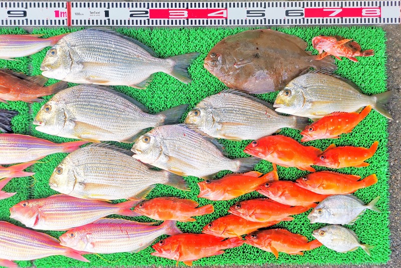 IMG_20251127_160910_edit_2735691272637765