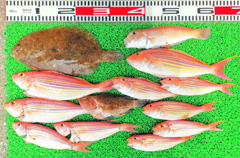 IMG_20220718_111130_edit_739903993755848