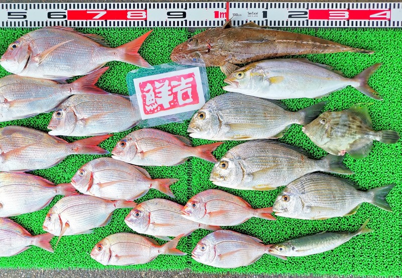 IMG_20240908_153142_edit_143823874453053