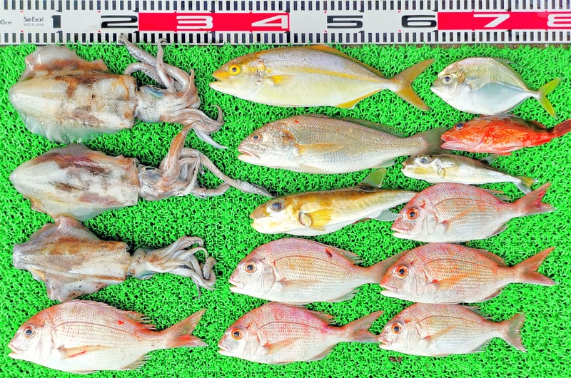 IMG_20230914_160232_edit_489941217329925