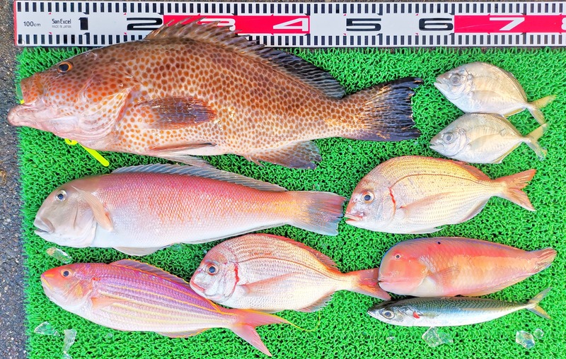 IMG_20251103_143953_edit_2246744507168624