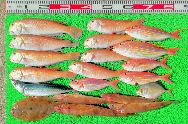 IMG_20260118_143113_edit_3970028631925455