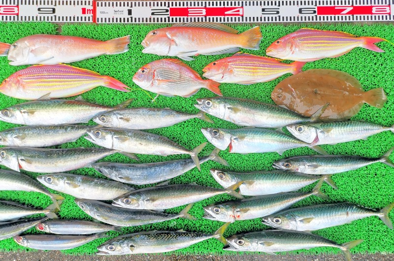 IMG_20220718_153004_edit_740504542022944