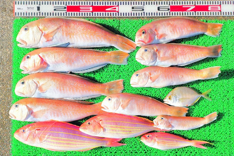 IMG_20251108_145524_edit_2343250695021606