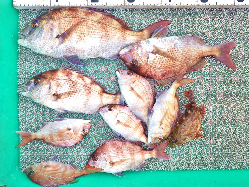 IMGP9397