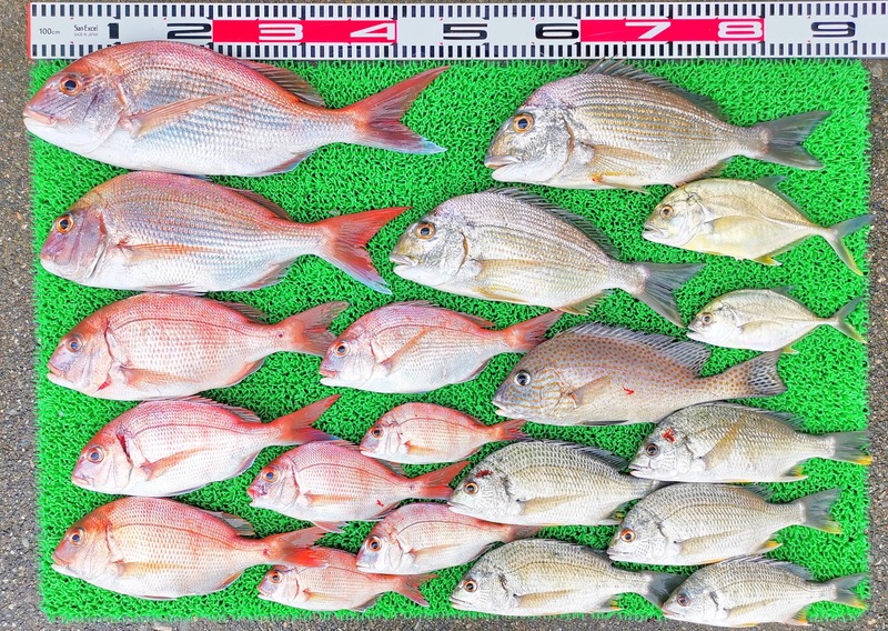 IMG_20251004_144712_edit_1578698435978373