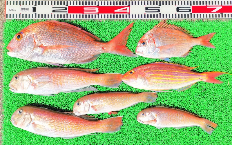 IMG_20250223_130013_edit_990192495468174