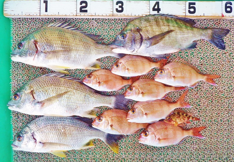 IMGP0901