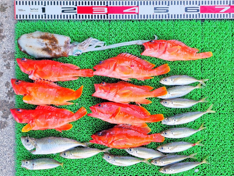 IMG_20251123_160213_edit_2652643341496271~2