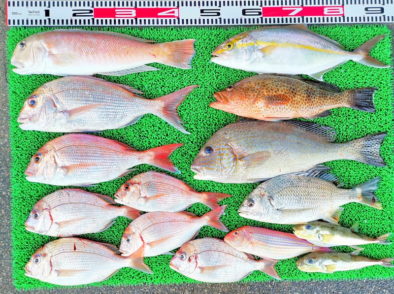 IMG_20251107_155541_edit_2324499499853634