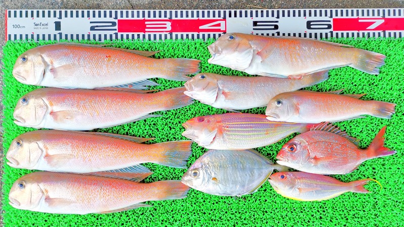 IMG_20240401_153544_edit_61433385503125