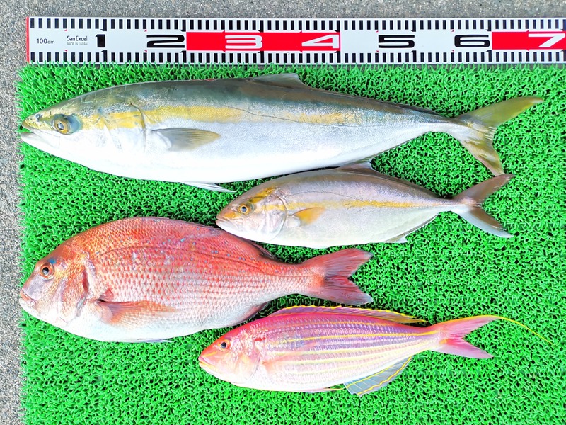 IMG_20211126_162635_edit_1339494022416961