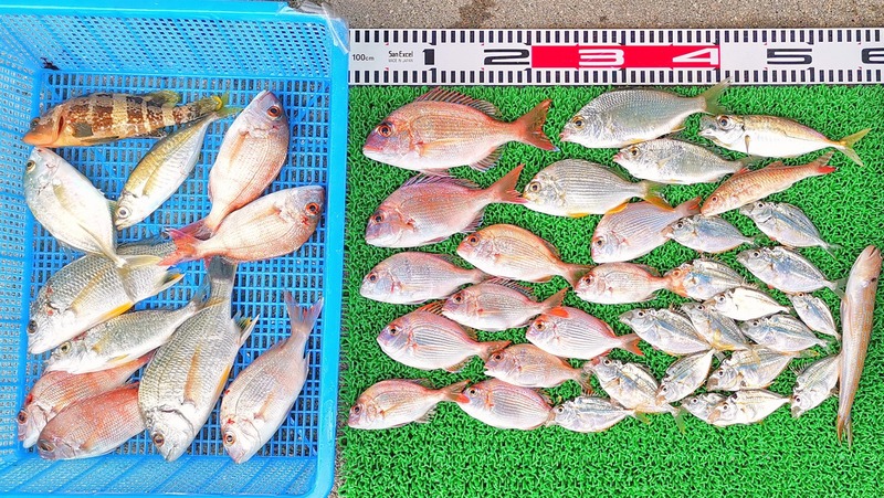 IMG_20251026_145316_edit_2070424062288758