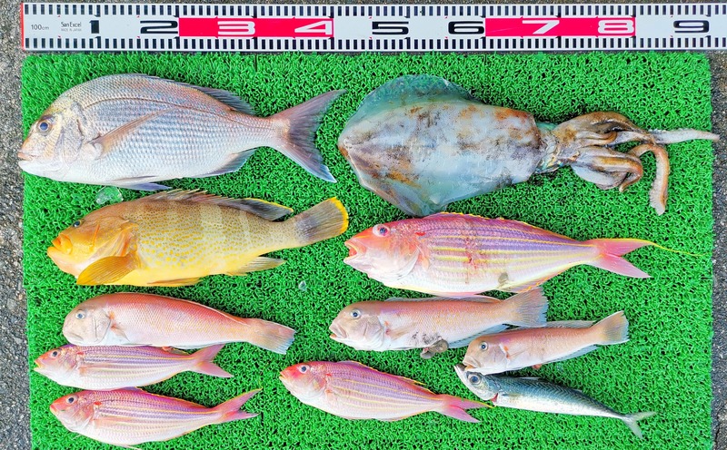 IMG_20251115_154643_edit_2482069037252507