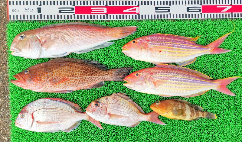 IMG_20250112_152330_edit_51754795896789