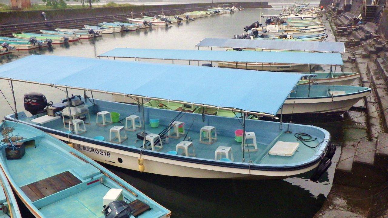 雨の日曜日 出船はすべてテント付きで 竹村貸舟店 高知県 浦ノ内湾 宇佐 須崎市横浪半島沖の船釣り 釣果情報 ブログ