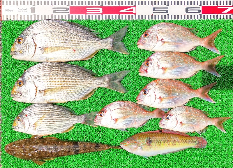 IMG_20220707_103648_edit_477025089810023