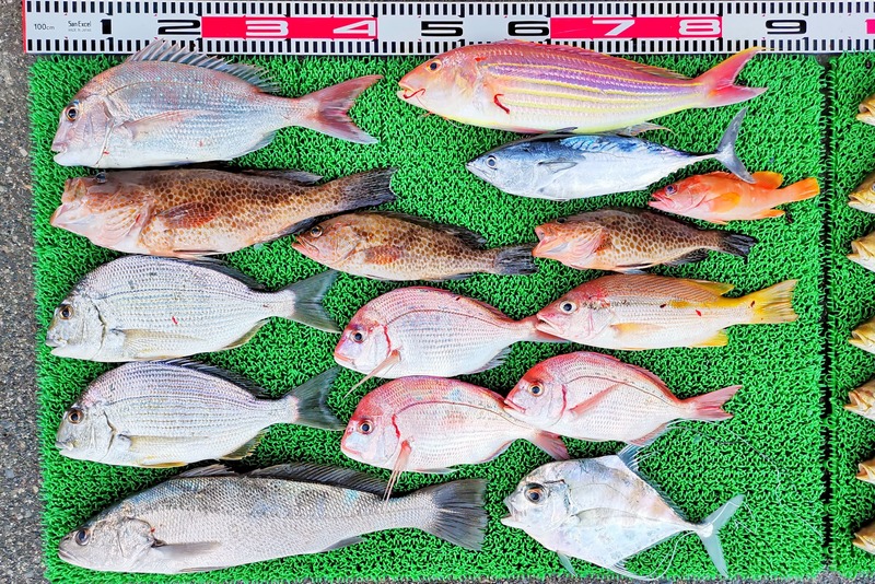 IMG_20251108_164347_edit_2343727057279346