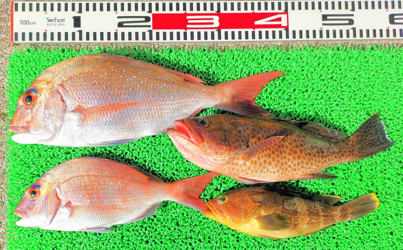 IMG_20241229_131427_edit_573681705436936