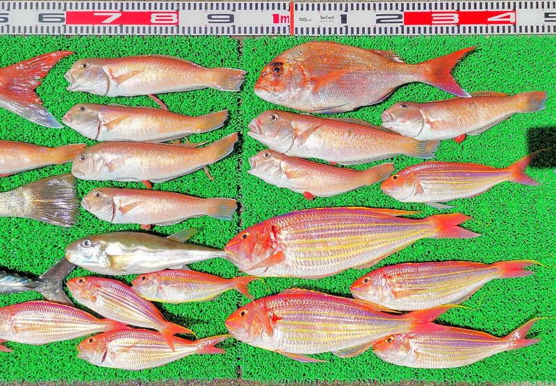 IMG_20230416_123346_edit_130238414767625