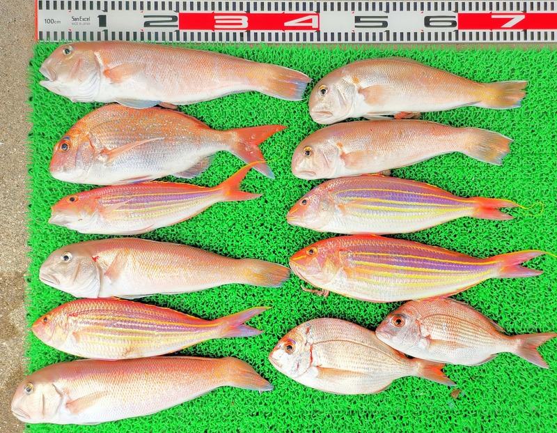 IMG_20220702_123715_edit_349741911749237