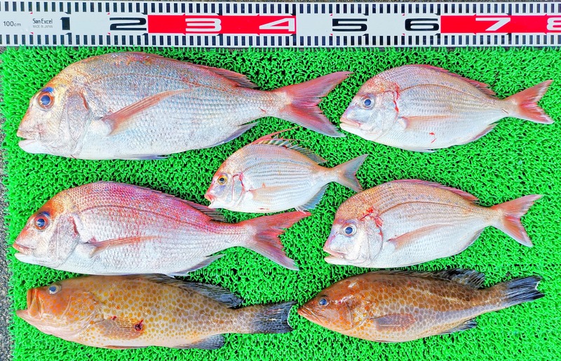 IMG_20251101_155138_edit_2198052027829699