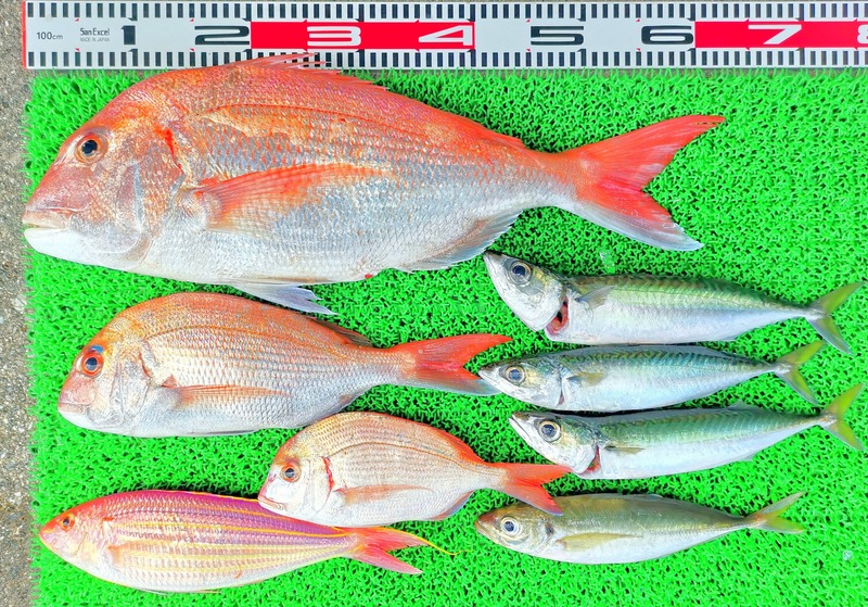 IMG_20220709_142513_edit_506610294008113