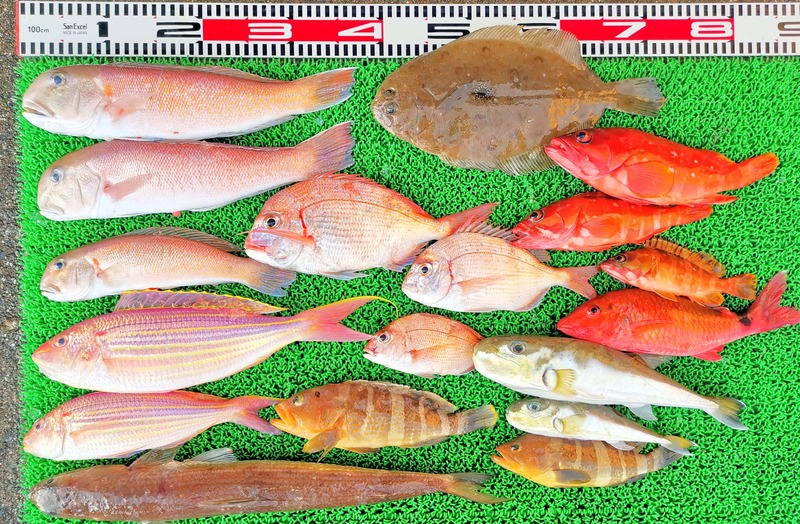 IMG_20241230_153933_edit_602598177636168