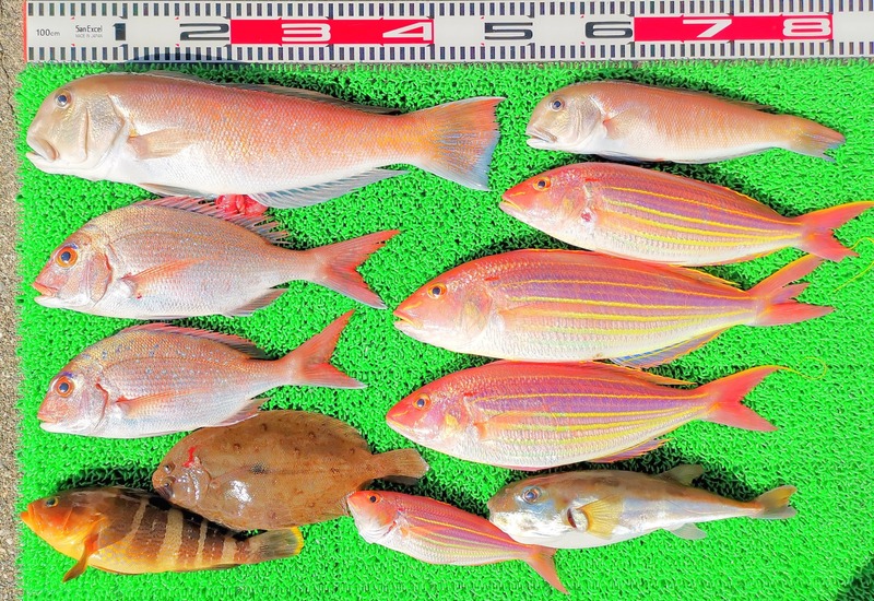 IMG_20250103_123515_edit_670772566208578