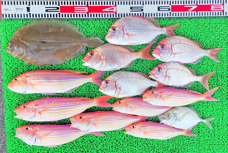 IMG_20251129_162732_edit_2784484031527195