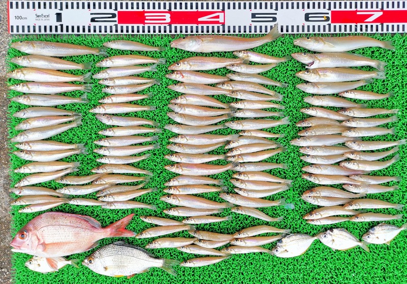 IMG_20220506_150755_edit_418237414313260