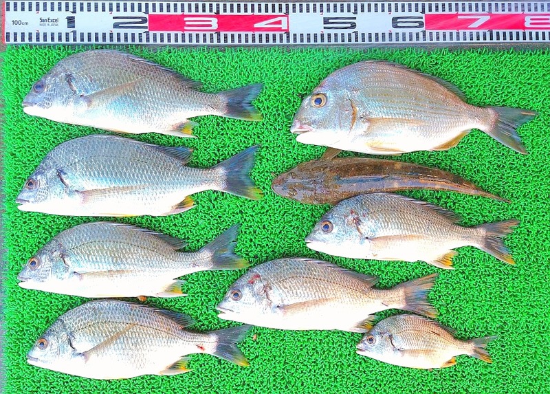 1753861501017_edit_2792123266239