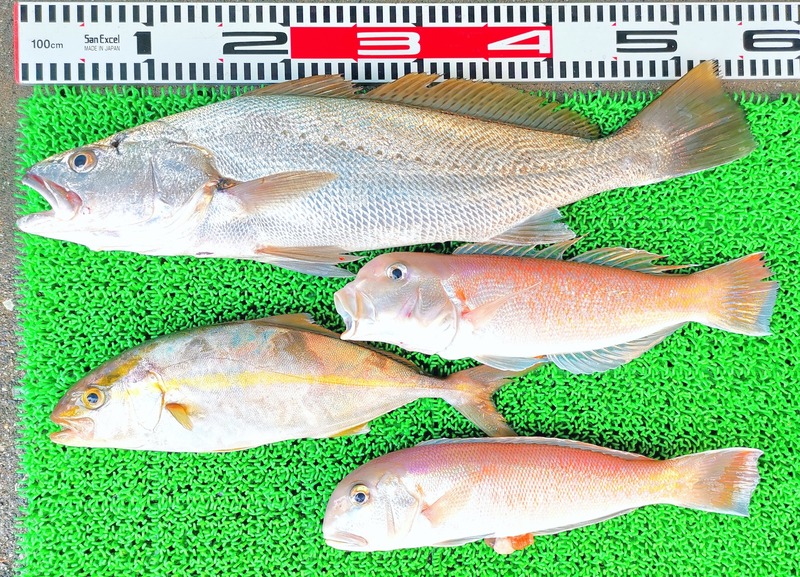 IMG_20240908_132058_edit_143408166343220