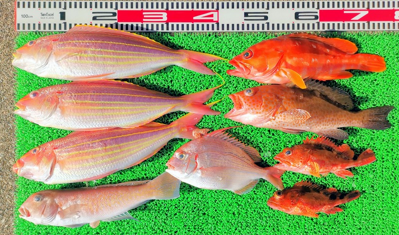 IMG_20250113_143638_edit_70529480226737