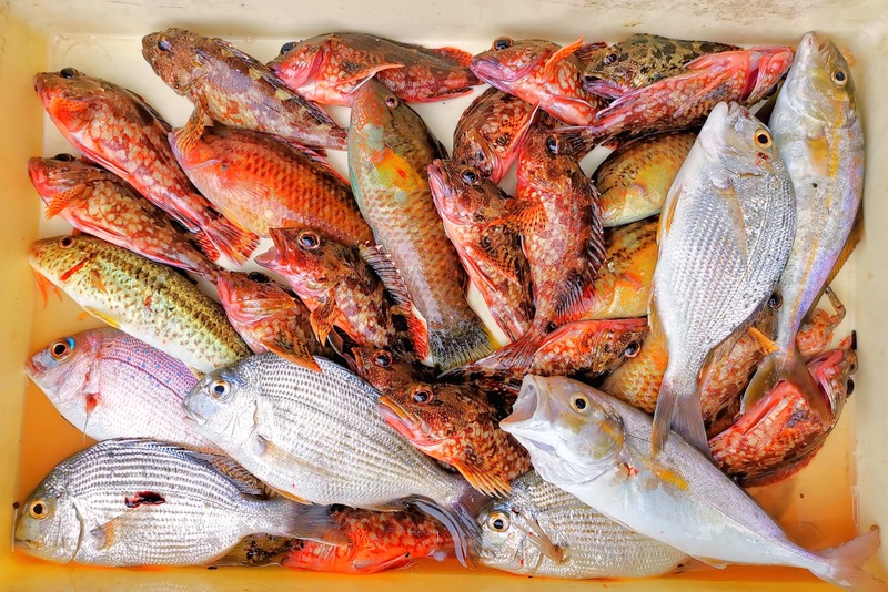 IMG_20220707_133728_edit_477275527294360