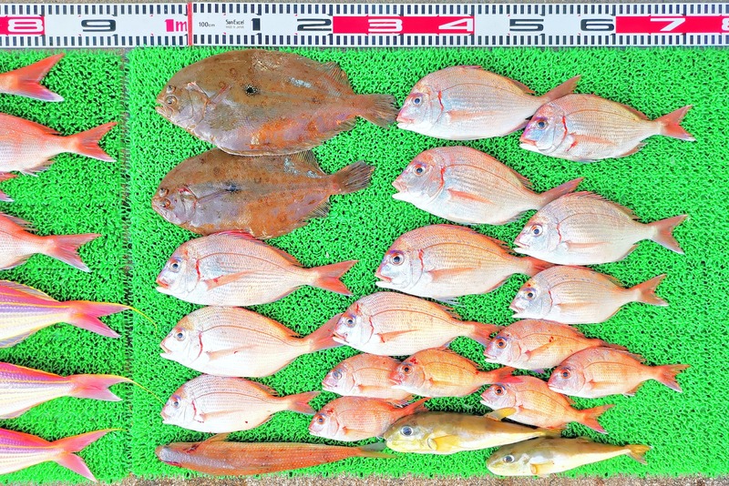 IMG_20251126_140326_edit_2714281445704574