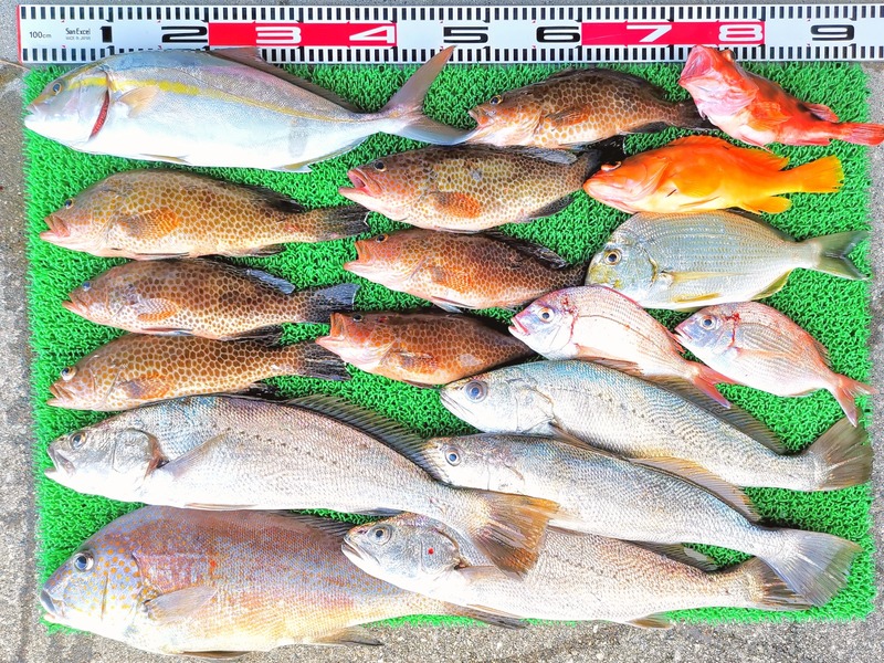 IMG_20251030_151052_edit_2148815210715337