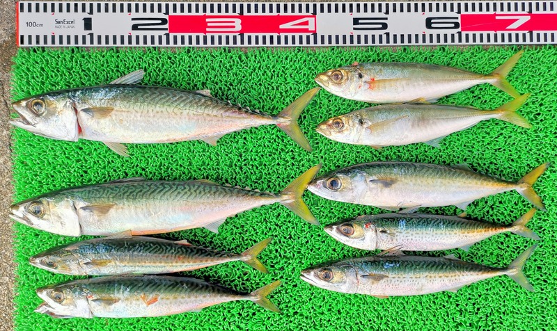 IMG_20260119_155701_edit_3994209006031661