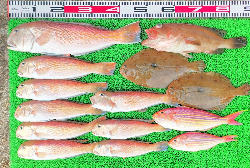 IMG_20260128_162119_edit_171903776860226