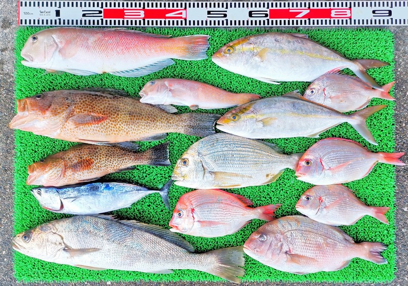 IMG_20251123_160703_edit_2652676384794183~2