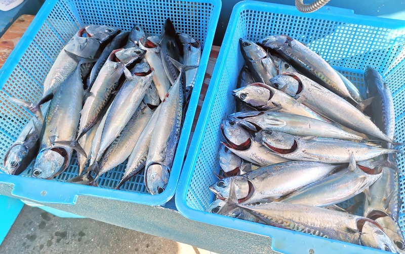 IMG_20251103_093716_edit_2246469698599915