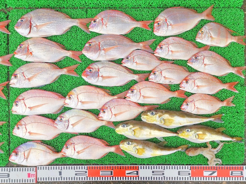 IMG_20251024_141704_edit_2014616060947794