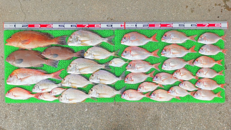 IMG_20251117_134921_edit_2521477168573577