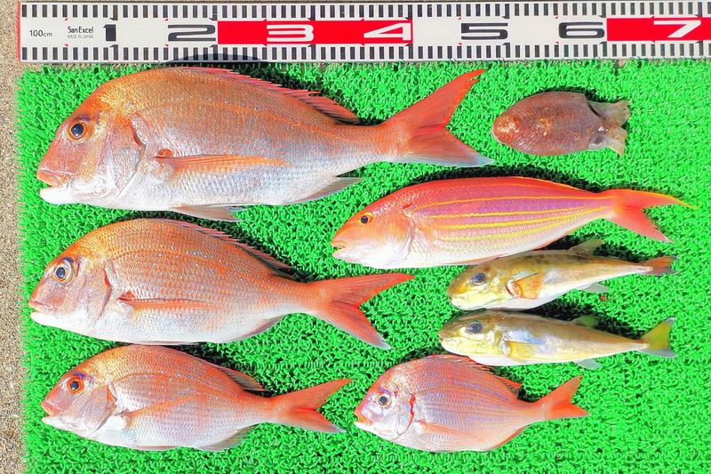 IMG_20251123_121348_edit_2652128235182808~2