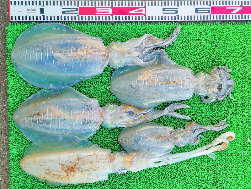 IMG_20251103_141819_edit_2246704359197275