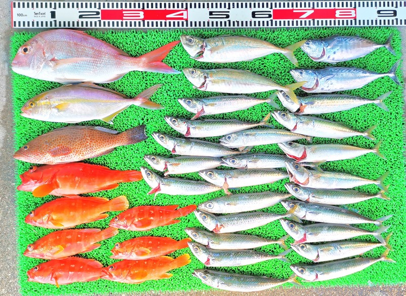 IMG_20251006_132303_edit_1630688458919398