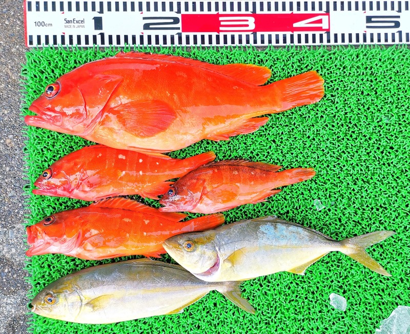 IMG_20220722_140238_edit_846160861558905