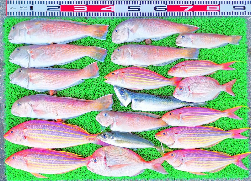 IMG_20220723_155509_edit_873178699338116