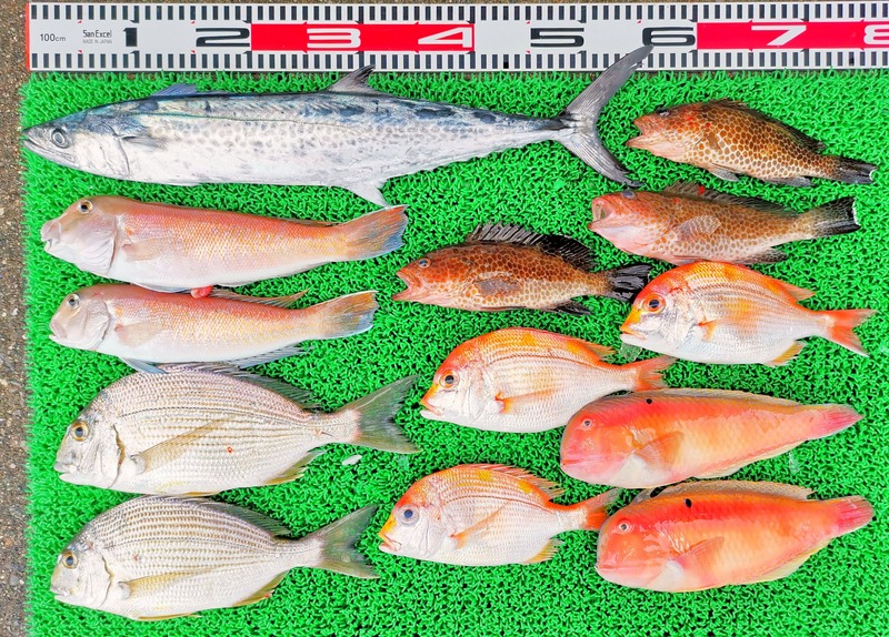 IMG_20250112_160727_edit_52207374973282